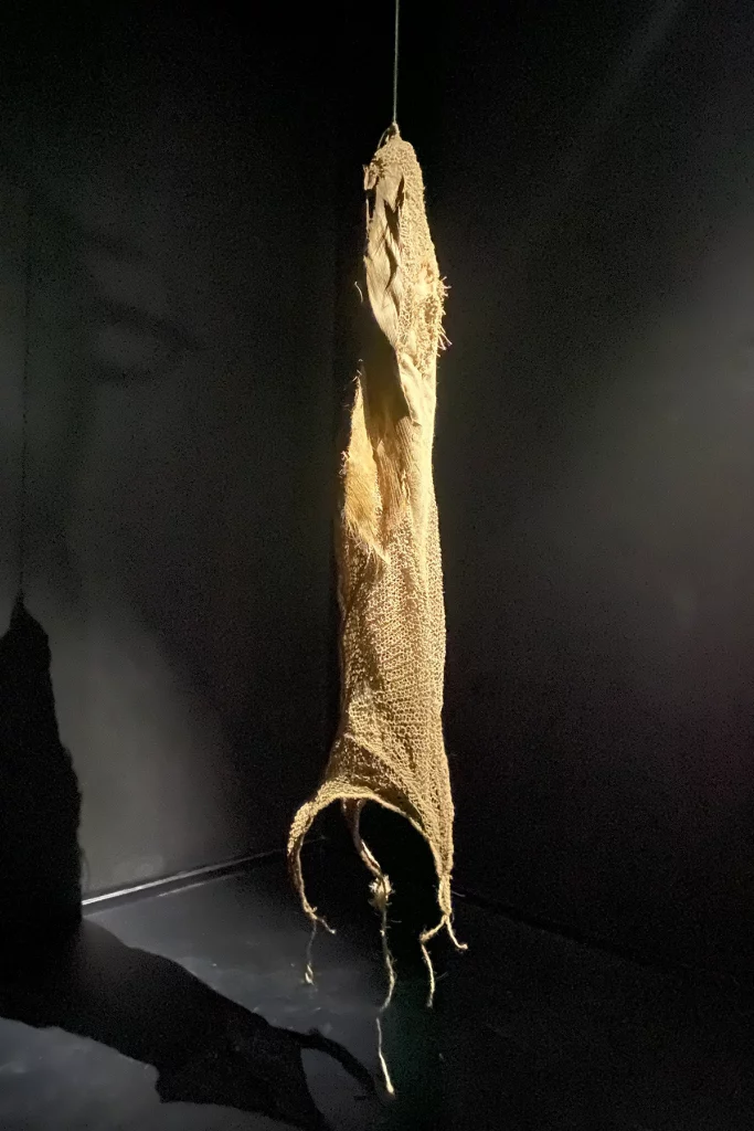 exhibit fatima7