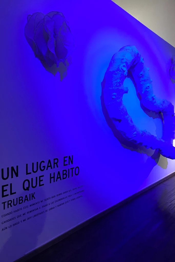 exhibit fatima9